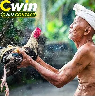 Những Lưu Ý Khi Tham Gia Đá Gà Thomo